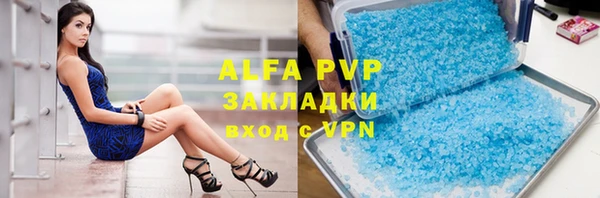 стафф Алзамай