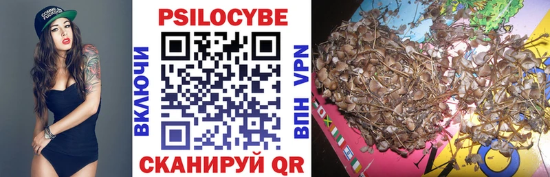 shop состав  мега зеркало  Павлово  Псилоцибиновые грибы MAGIC MUSHROOMS 