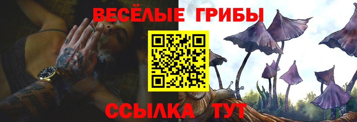 Псилоцибиновые грибы мицелий Павлово
